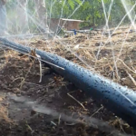 Laser Spray da DripTech