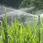 sprinkler-aspersao